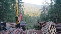 210ad1db-51b3-4375-ae30-82126775d48f