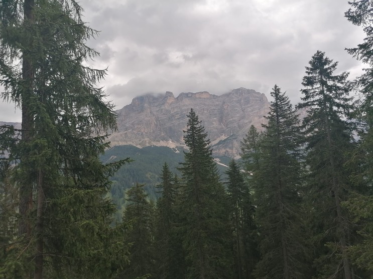 2649b9bb-73c7-4eea-ad08-a2f867067cf5