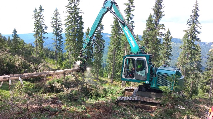 c908a70d-29b0-4f7d-8ad9-1a185a1e9d3d